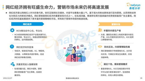 互聯(lián)網(wǎng)廣告營銷與信息系統(tǒng)集成服務(wù) 現(xiàn)代企業(yè)的必備技能